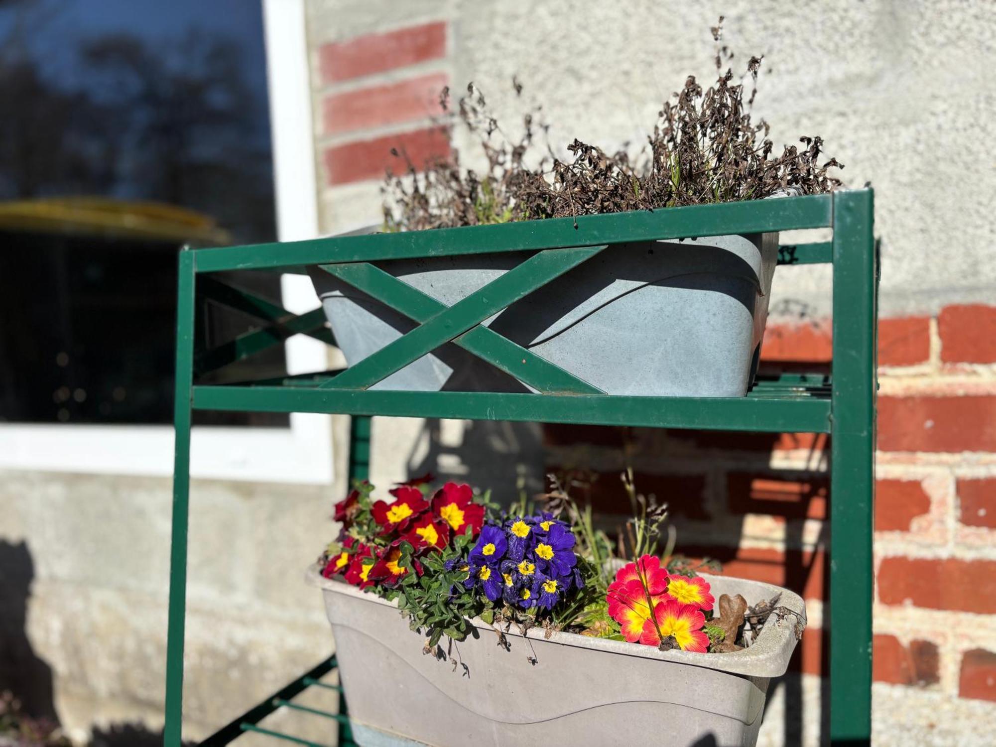 Maison De Campagne Lumineuse Spacieuse Dans Impasse Au Calme A Proximite D'Un Chateau Deux Verandas Grand Jardin Cabane Pour Velos, Pres Port En Bessin Et Bayeux, Proche Plages Du Debarquement Commes ภายนอก รูปภาพ